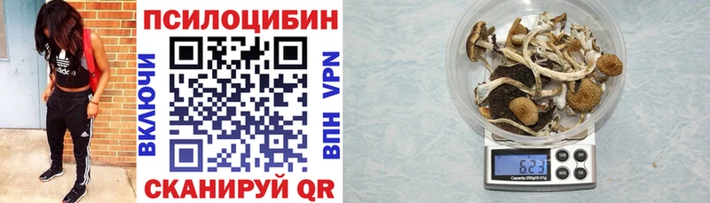 Купить где  Сурск  Галлюциногенные грибы MAGIC MUSHROOMS 